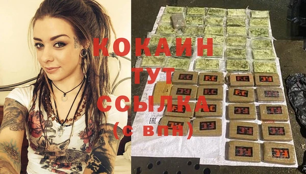 шишки Волоколамск